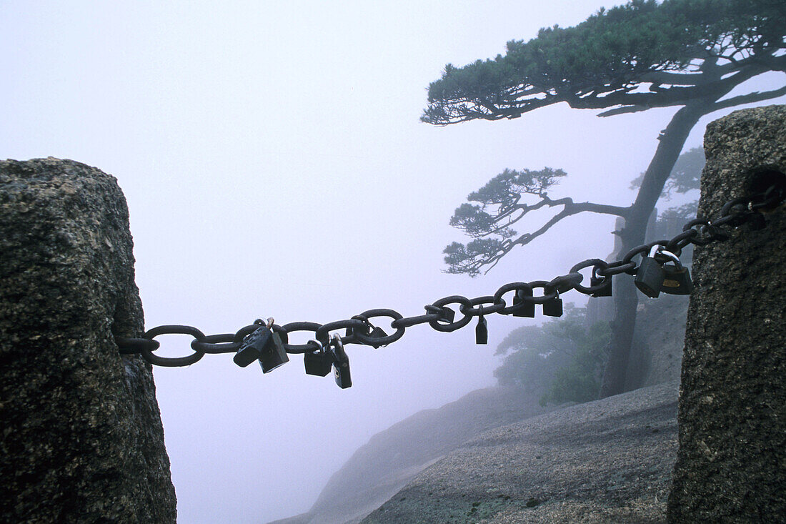 Padlocks on a chaine in front of sheer, Huang Shan, Anhui province, China, Asia