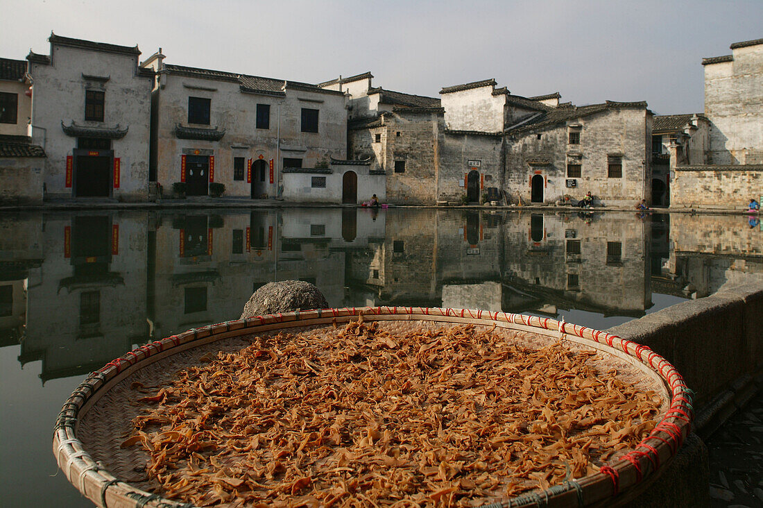 Fish drying in the sunlight in front of the pond of the village Hongcun, Huangshan, China, Asia