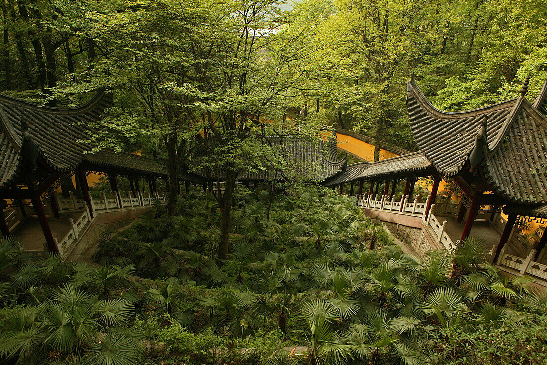 Überdachte Treppen führen durch den Wald zum Ronshen Kloster, Jiuhua Shan, Provinz Anhui, China, Asien
