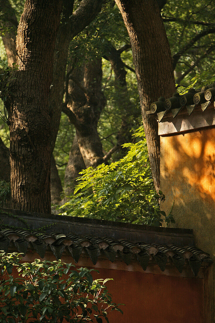 overgrown walls of Fayu Monastery, Buddhist Island, Thousand steps stone stairway, Putuo Shan near Shanghai, Putuo Shan, Zhejiang Province, East China Sea, China, Asia