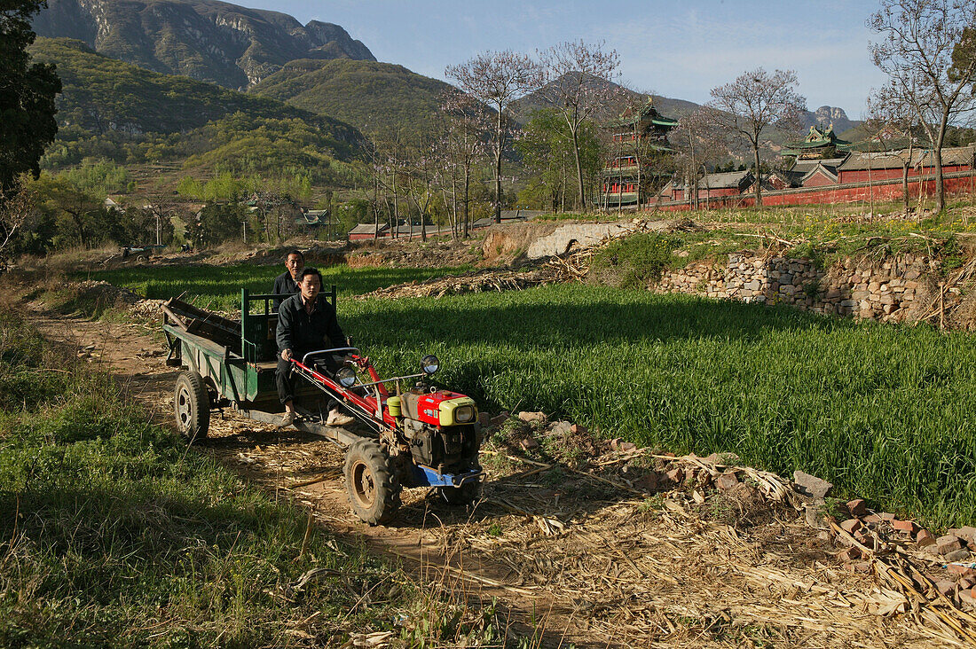 Shaolin Kloster, Song Shan,Landwirtschaft, Felder am Shaolin Kloster, Song Shan, daoistisch-buddhistisch, Berg, Shaolin Kloster, Provinz Henan, China, Asien