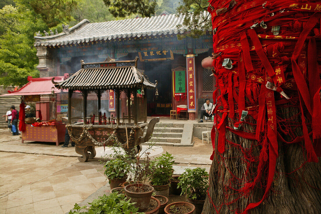 Opfergabe, Tai Shan,Gebetsbänder an einem Baum vor Tempel am Pilgerweg zum Gipfel, Opfergabe, Geldscheine, Taishan, Provinz Shandong, Taishan, Provinz Shandong, UNESCO Weltkulturerbe, China, Asien