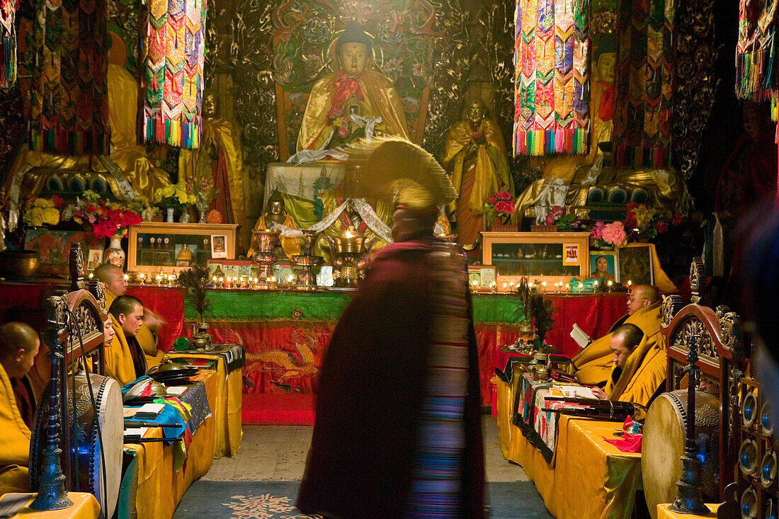 Mönche in Pusa Ding Kloster bei der Morgenandacht, Wutai Shan, Gipfelkloster, Gelbmützen, Wutai Shan, Taihuai Stadt, Provinz Shanxi, China, Asien