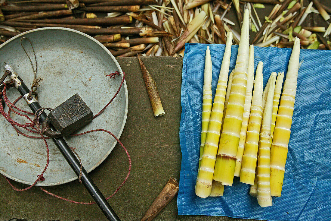 Verkaufsstand am Wegesrand mit Bambussprossen und Waage, Emei Shan, China, Asien