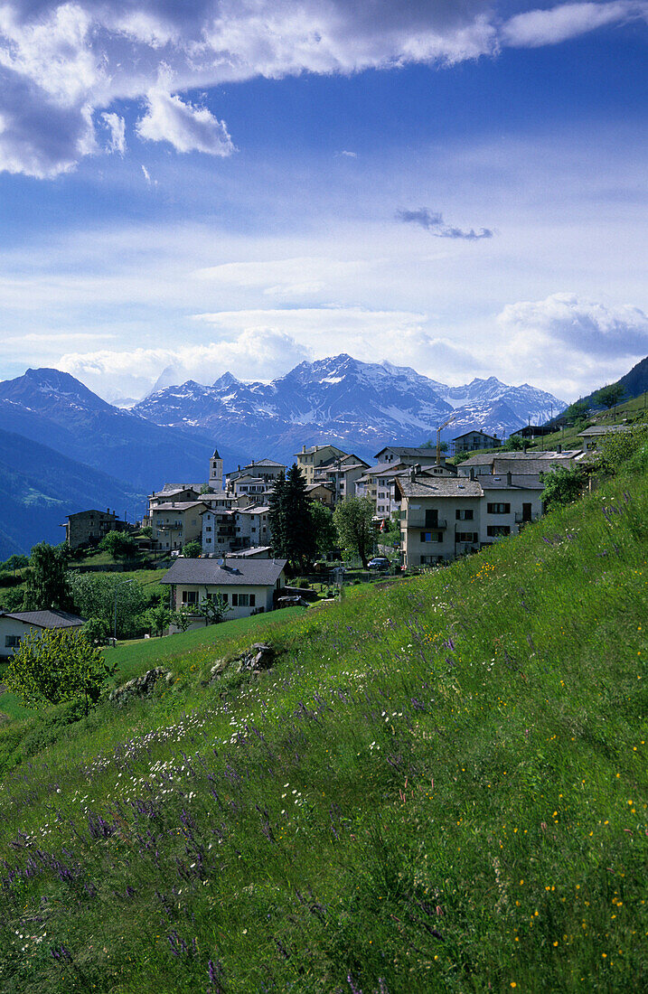 Ortsansicht von Viano im Puschlav mit Berninagruppe im Hintergrund, Puschlav, Graubünden, Schweiz