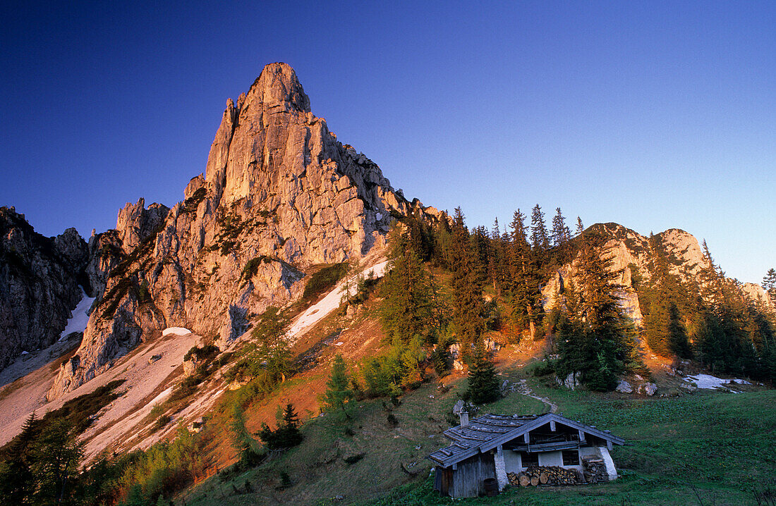 Hörndlwand über der Hörndlalm, im Alpenglühen, Chiemgauer Alpen, Oberbayern, Bayern, Deutschland