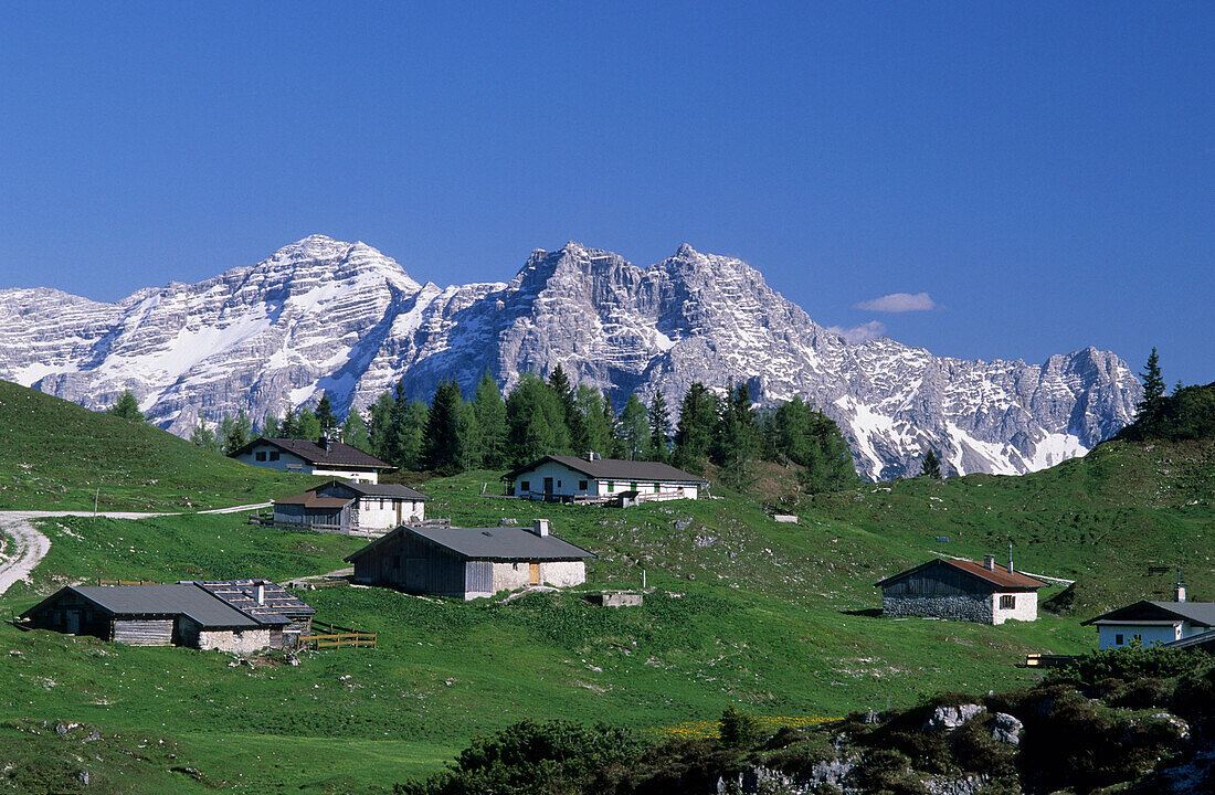 Alpine huts of Durchkaseralm with views to Loferer Steinberge, Steinplatte, Chiemgauer Alps, Tyrol, Austria