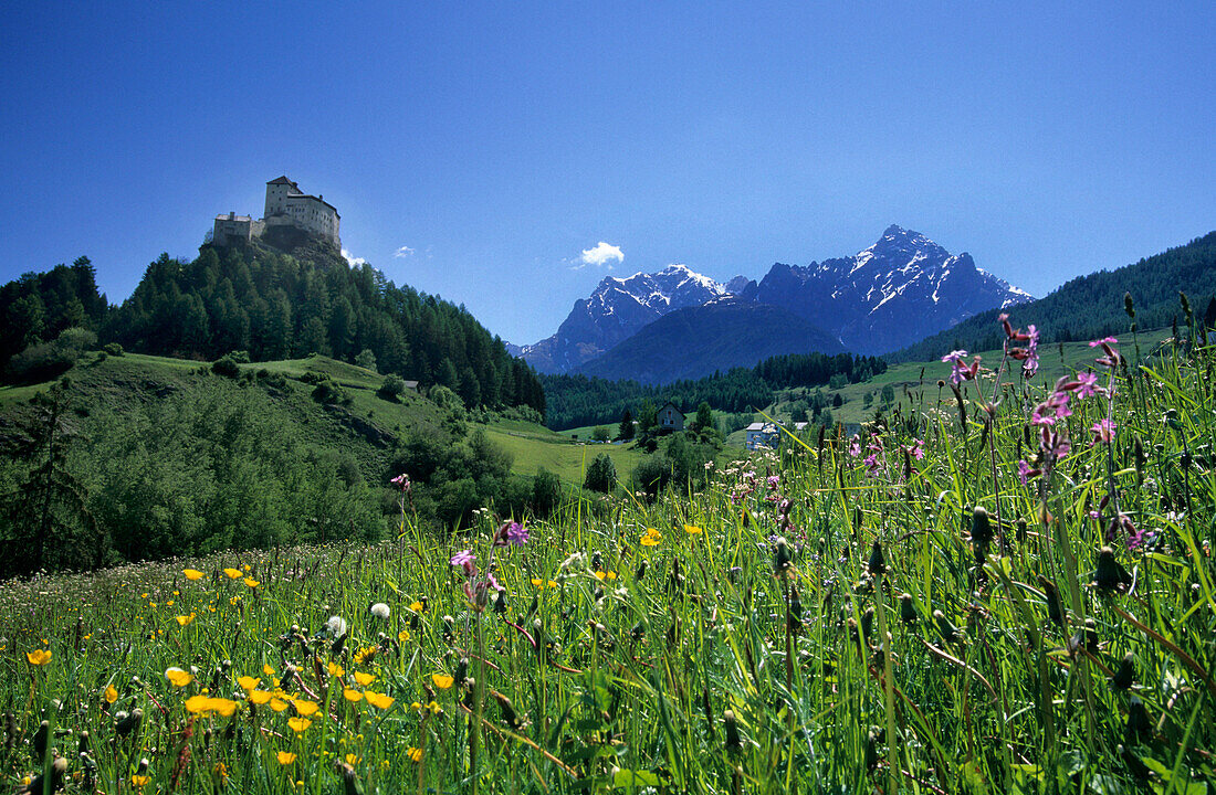 Schloss Tarasp über eine Blumenwiese, Unterengadin, Graubünden, Schweiz