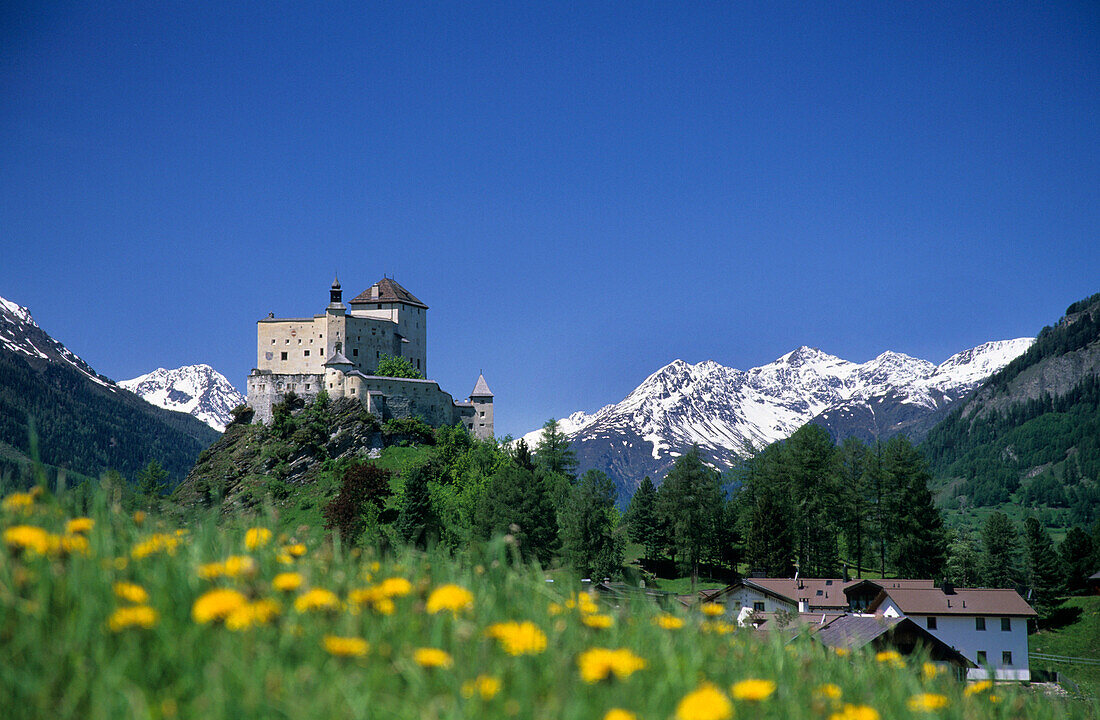 Schloss Tarasp über eine Blumenwiese, Unterengadin, Graubünden, Schweiz