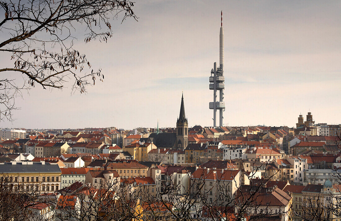 View of Zizkov Tower, Zizkov, Prague, Czech Republic