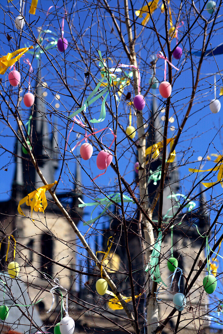 Easter egg decorations hung on a tree, Old Town Square, Staromestske Namesti, Prague, Czech Republic