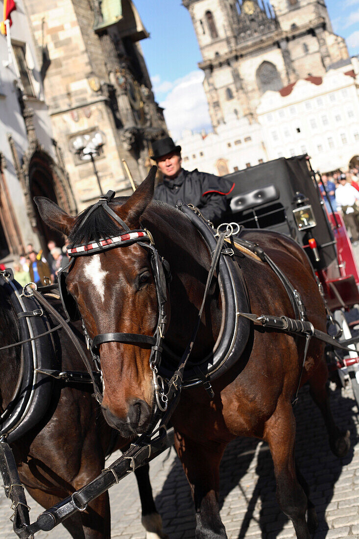 Horse drawn carriage, Old Town Square, Staromestske Namesti, Stare Mesto, Prague, Czech Republic