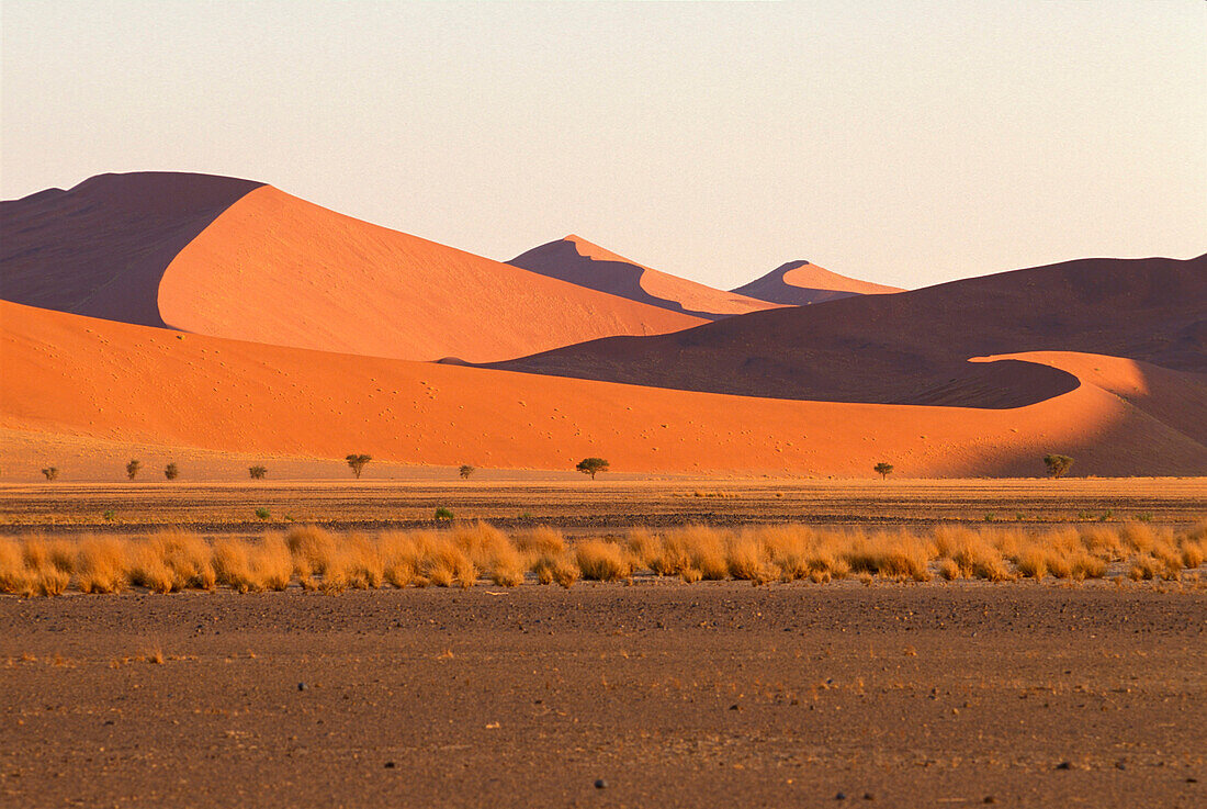 Sand dunes in the sunlight, Sossusvlei, Namibia, Africa