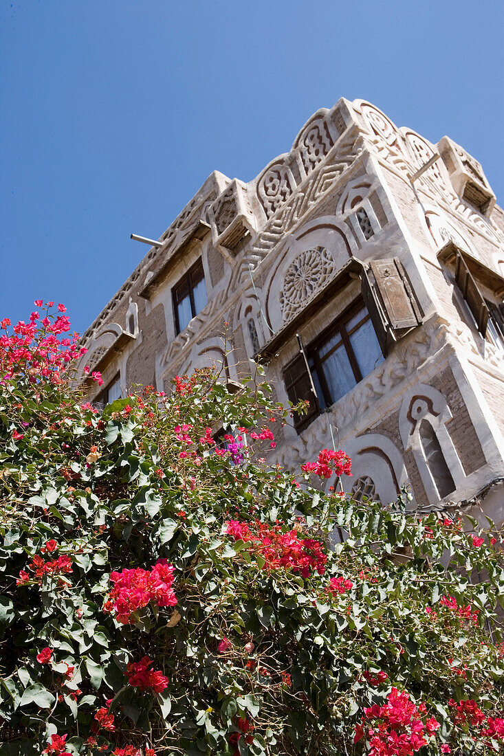 Bougainvillea und Haus in der Altstadt, Sana'a Jemen