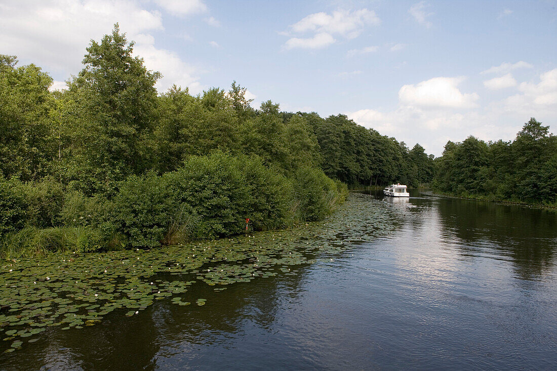 Wasserlilien und Hausboot, Dahme Fluß, in der Nähe von Zernsdorf, Brandenburg, Deutschland