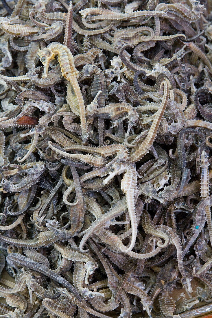 Dried Sea Horses, Sheung Wan, Hong Kong