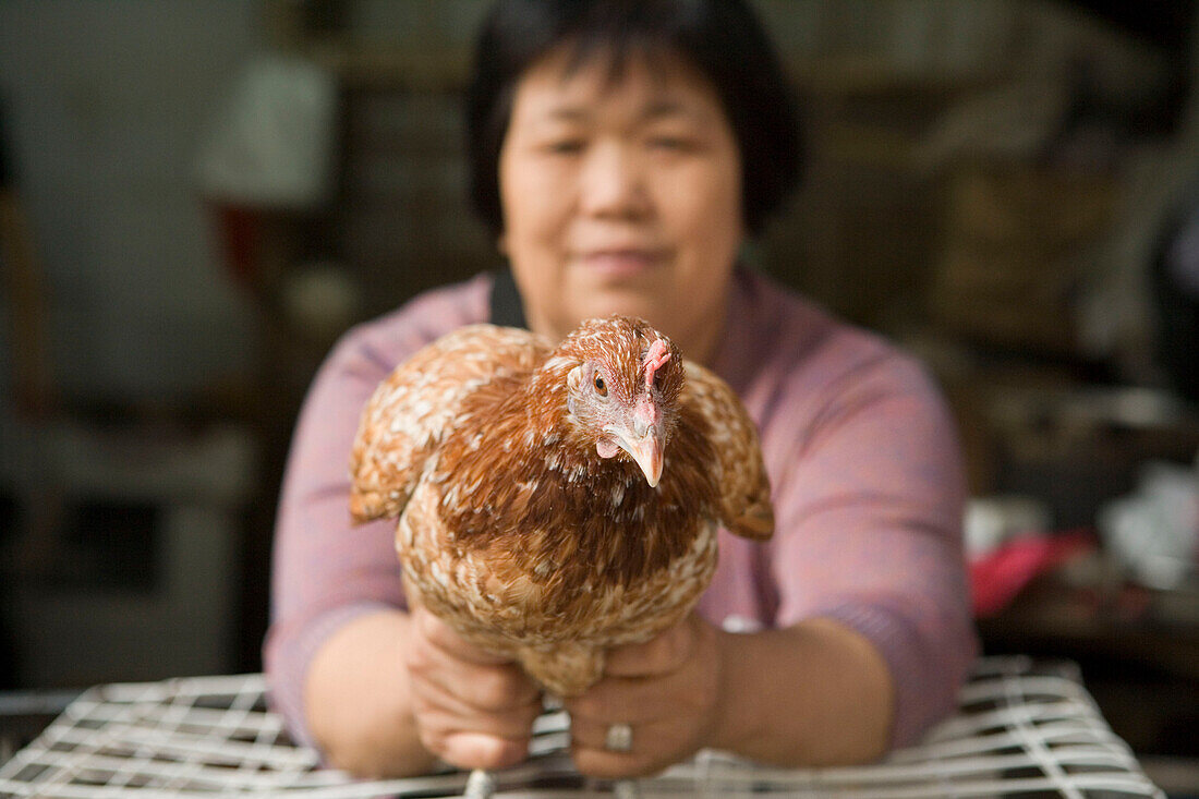 Frau mit Huhn, Chongqing Markt,Chongqing, China