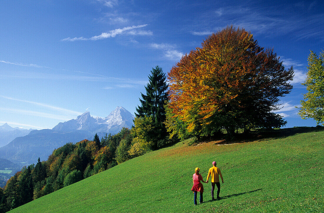 Couple walking in an autumn landscape with view to Watzmann, Berchtesgaden Range, Upper Bavaria, Bavaria, Germany