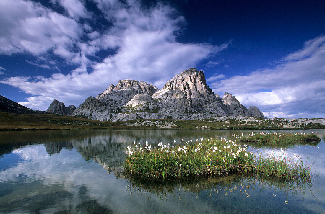 Lake Boedensee with blooming cotton grass in front of Schusterplatte, Dolomites, South Tyrol, Italy