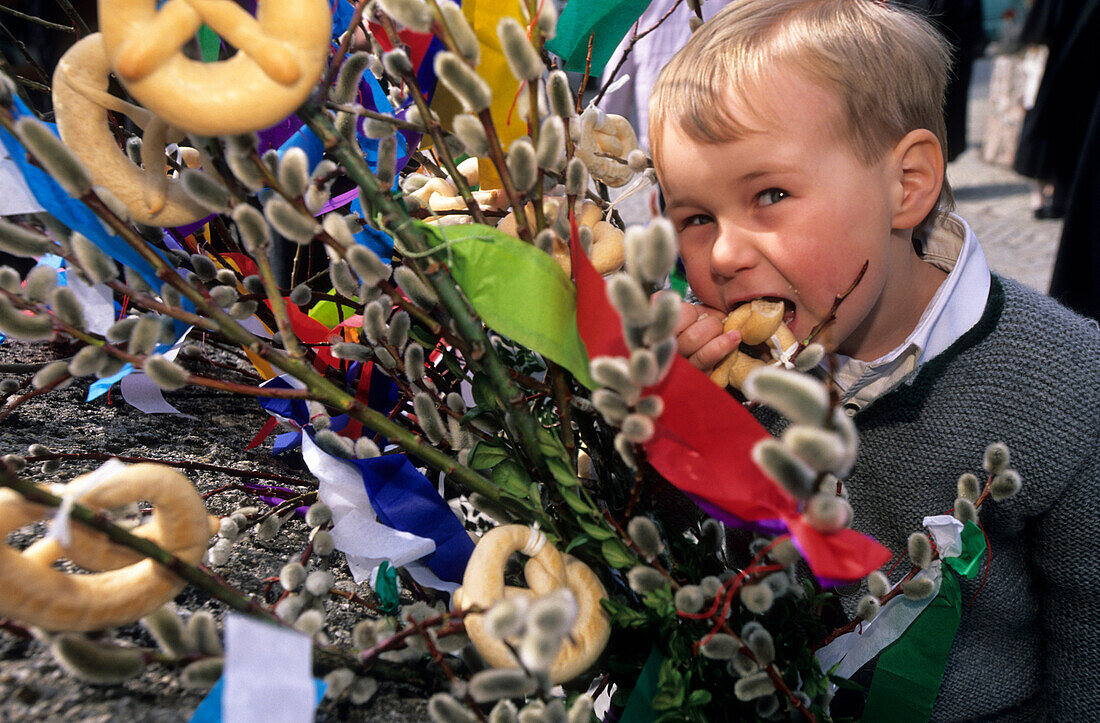 Young boy with a decorated branch of catkin, Palm Sunday, Reit im Winkl, Chiemgau, Upper Bavaria, Bavaria, Germany