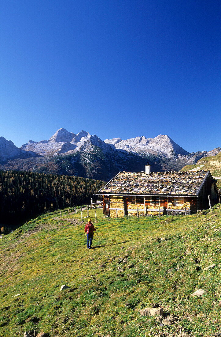 Mountaineer walking towards traditional alpine hut with shingle roof, view to Leoganger Steinberge and Birnhorn, Kallbrunnalm, Berchtesgaden range, Salzburg, Austria