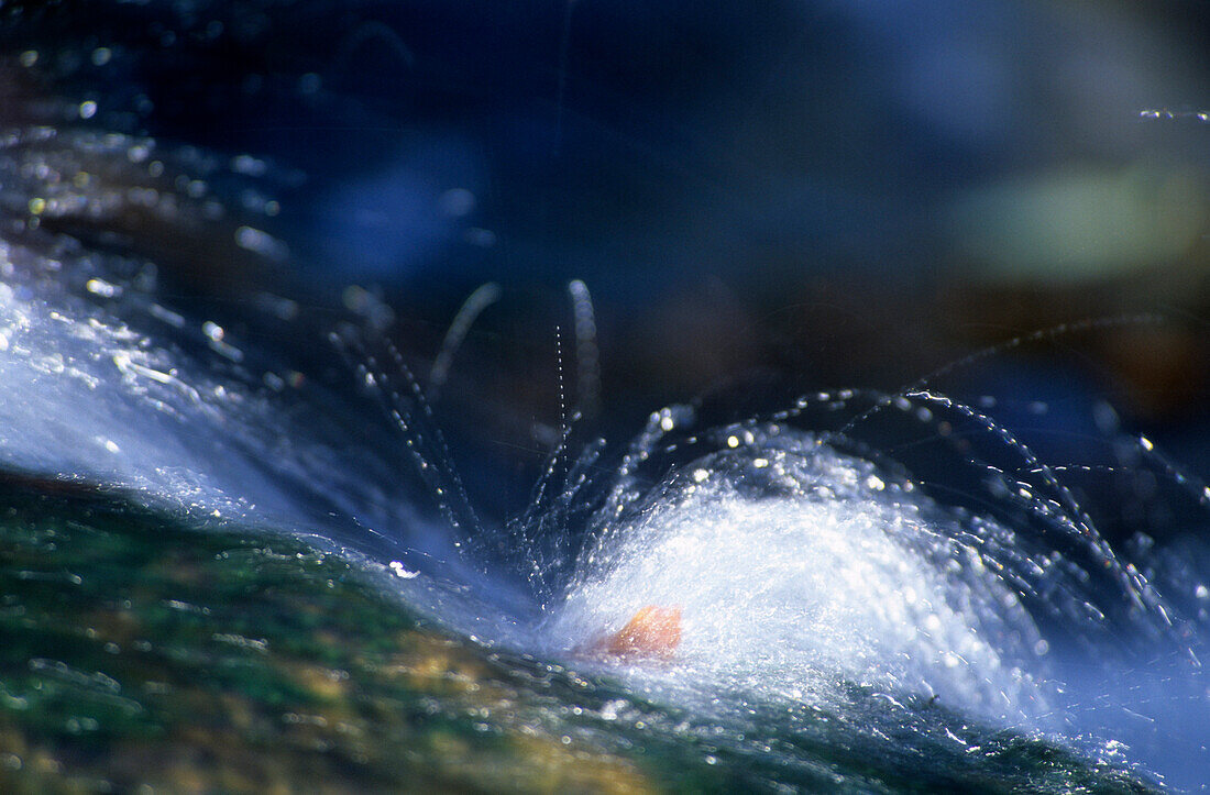 detail at stream with autumn leave and flying water drops, Chiemgau, Upper Bavaria, Bavaria, Germany