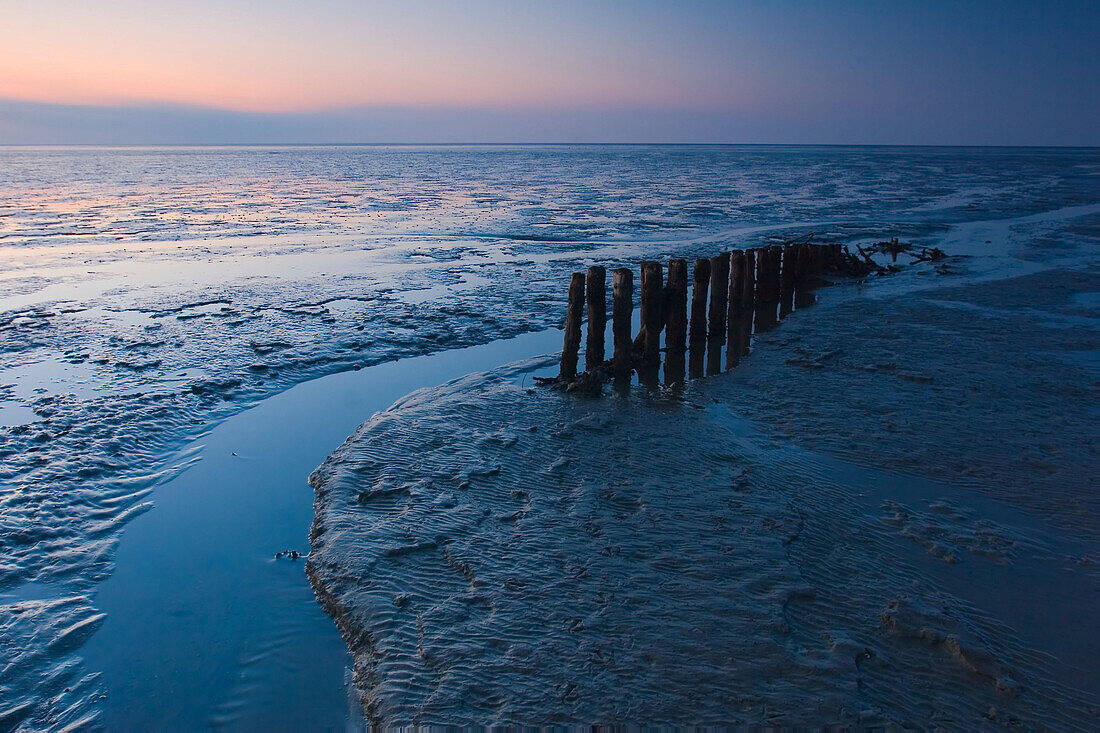 The tide is out on Noth Sea beach, Friedrichskoog, Dithmarschen, Schleswig-Holstein, Germany