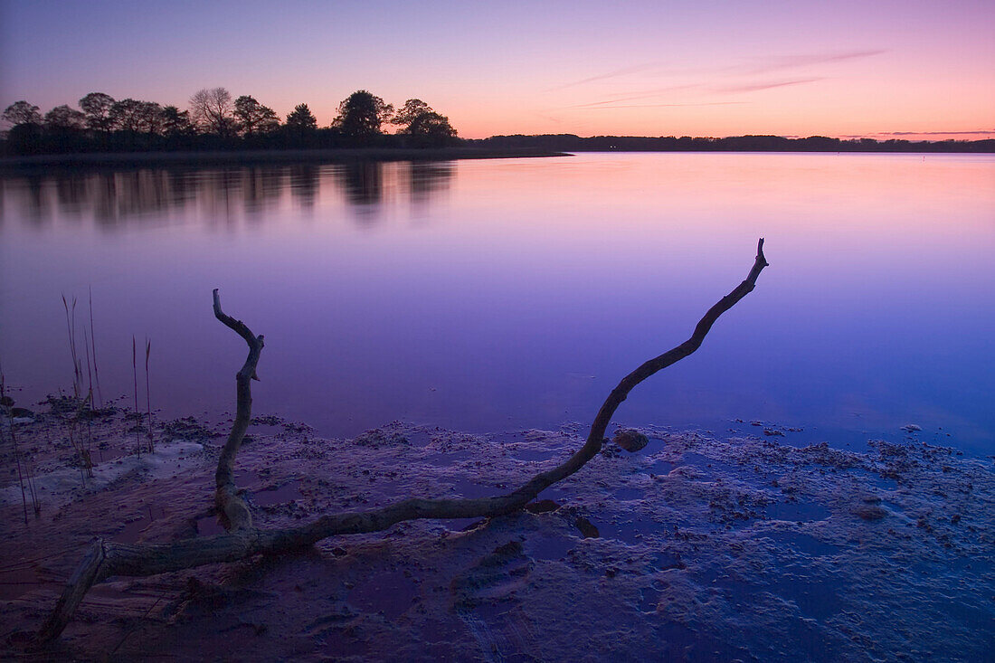(Das Warten auf die Flut), Ufer der Schlei im Abendlicht, Schleswig-Holstein, Deutschland