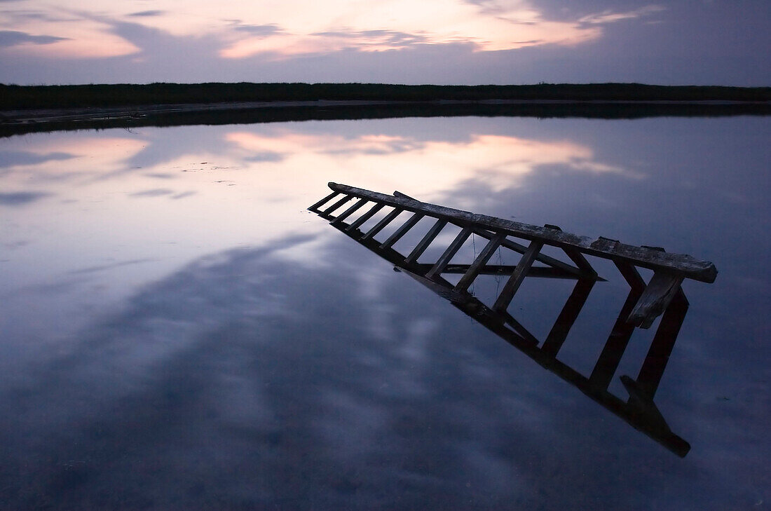 Old ladder lying in water, coastline of Baltic Sea, Schleswig-Holstein, Germany