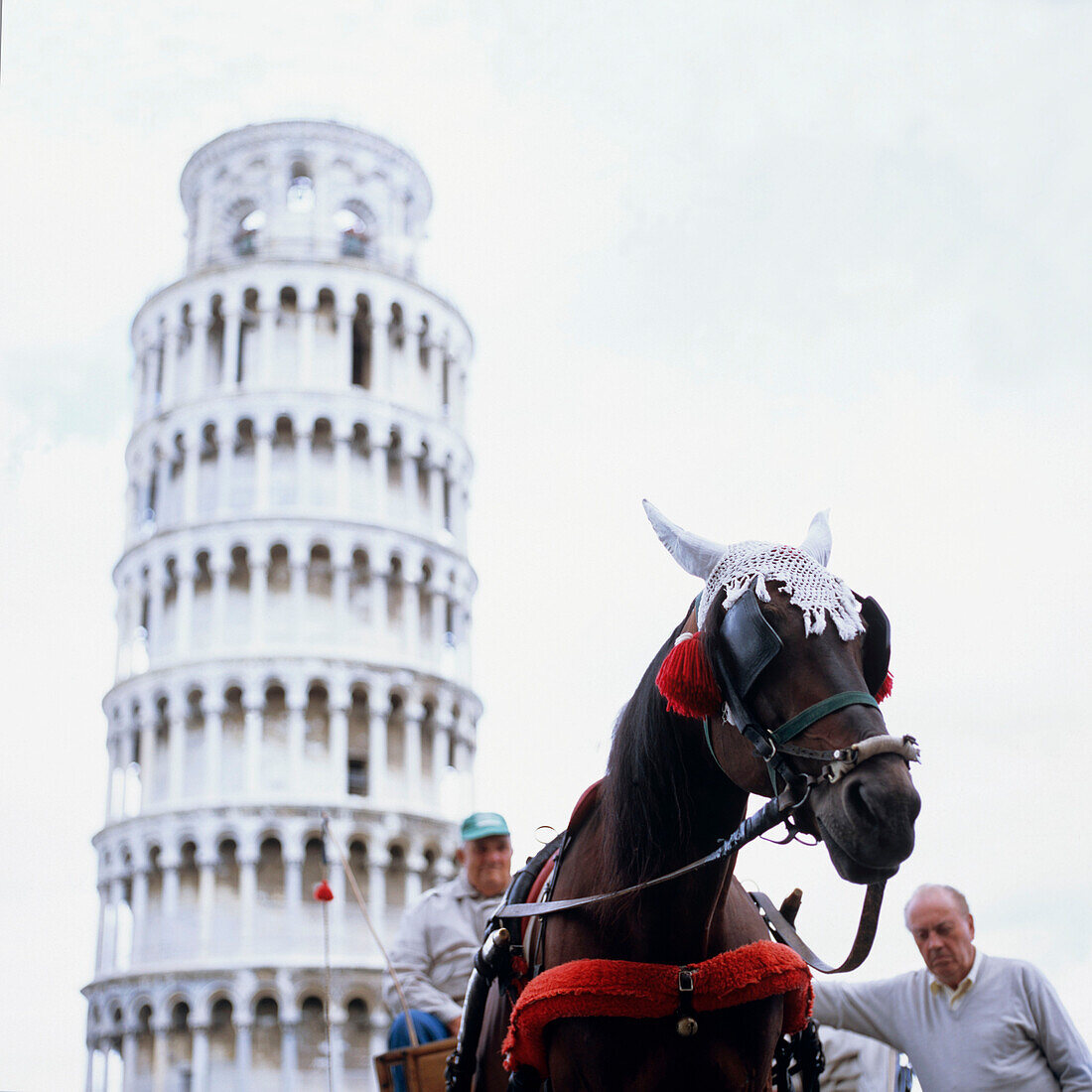 People and horse with carriage in front of leaning tower of Pisa, Italy
