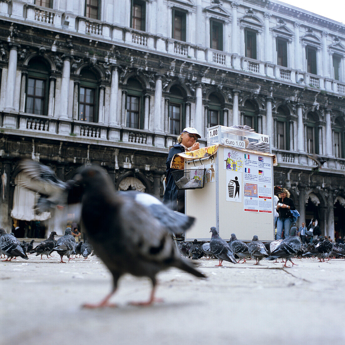 Zeitungsverkäufer mit Zeitungsstand und Tauben auf dem Markusplatz, Vernedig, Italien