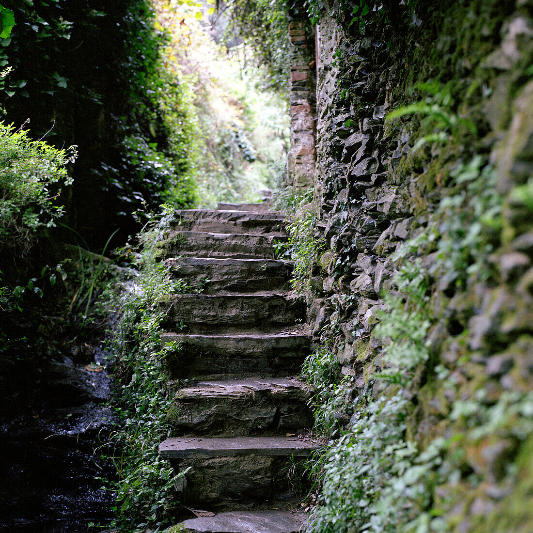 Stairs made of stone, Cinque Terre, Italy