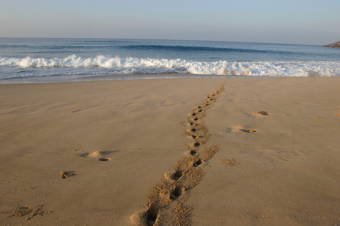 Fußspur im Sand frühmorgens am Strand, Maunalua Bucht, Honolulu, Hawaii, Amerika, USA