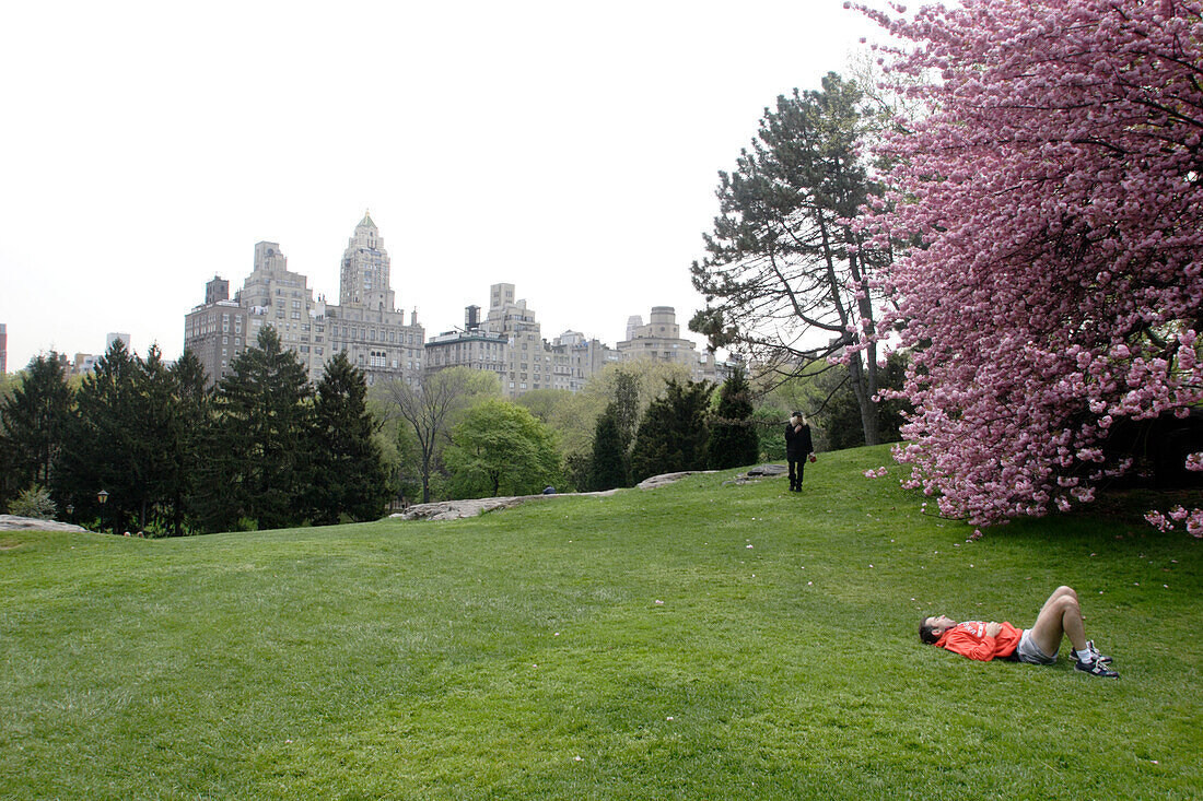 Ein Jogger ruht sich aus, Rasen, Central Park, Frühling, Upper East Side, Manhattan, New York City, U.S.A., Vereinigte Staaten von Amerika