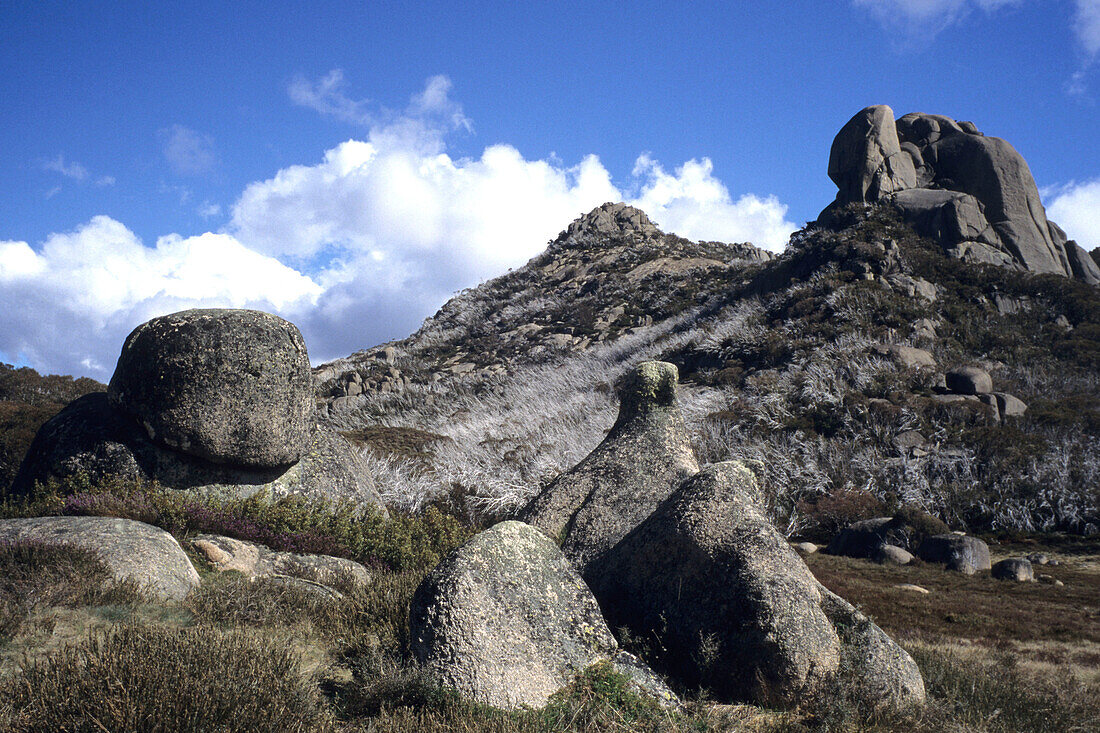 Ein Felsformation, Cathedral Rock, in Mount Buffalo National Park, Victoria, Australien