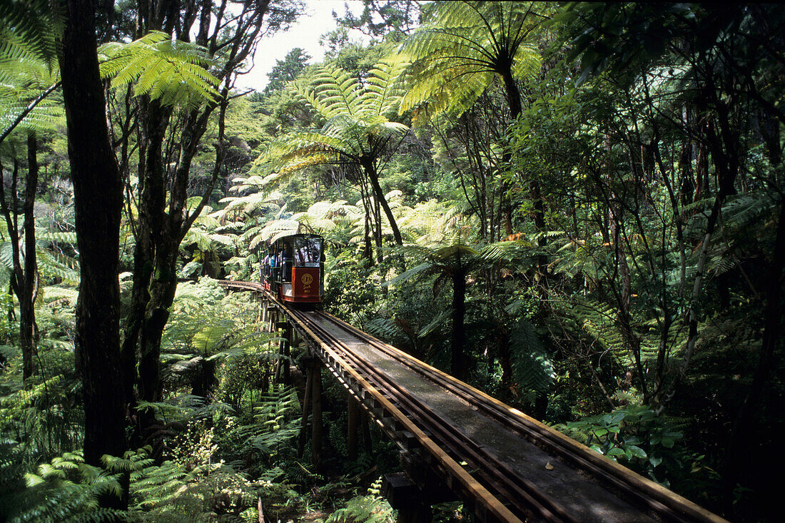 Ein Eisenbahnlinie, Driving Creek Railway, Coromandel, Coromandel Halbinsel, Nordinsel, Neuseeland