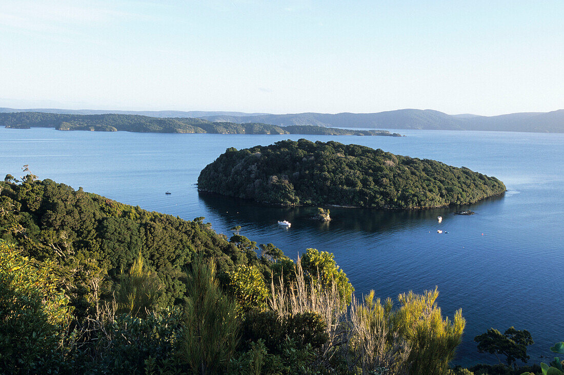 Eine Insel in Paterson Inlet, Blick von Observation Rock, Golden Bay, Halfmoon Bay, Stewart Island, Neuseeland