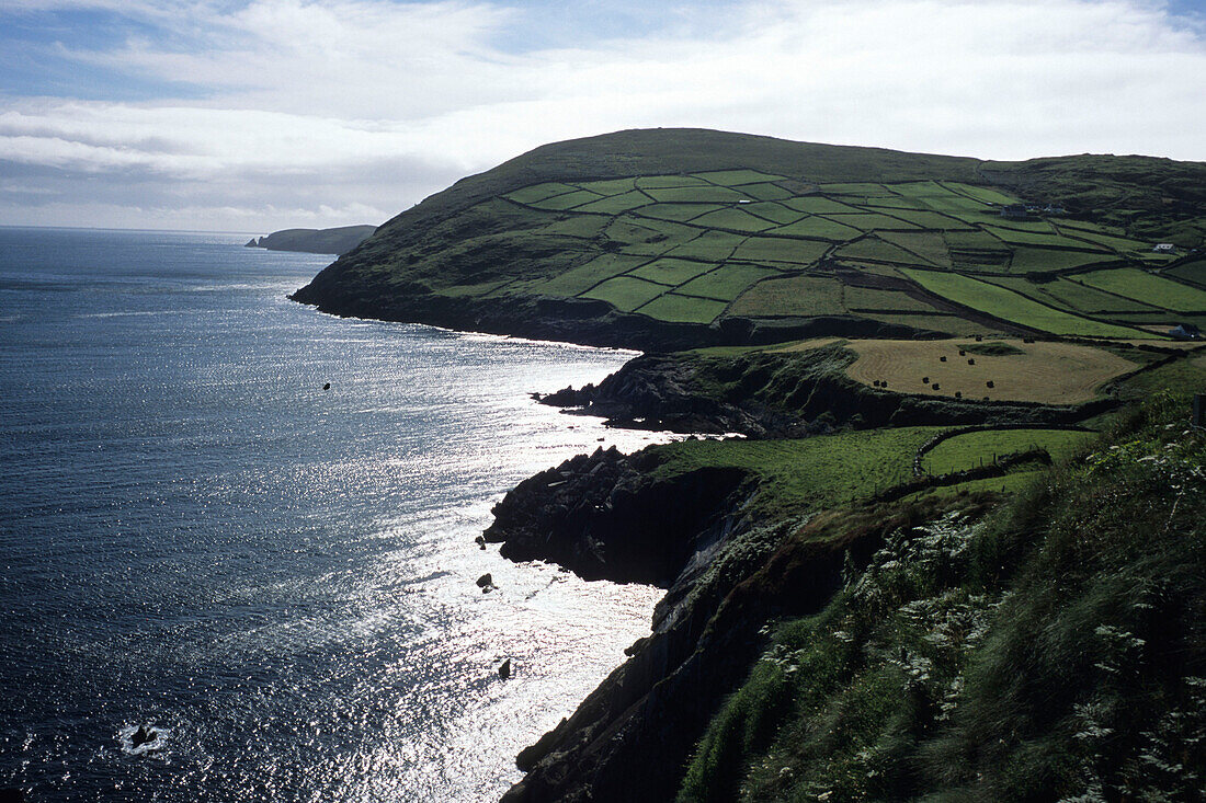 Beara Peninsula Coastline, Near Garnish, County Cork, Ireland