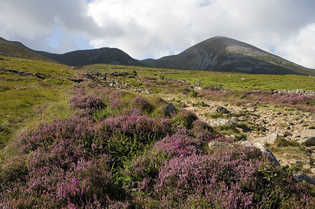 Pilgerweg nach Croagh Patrick, Croagh Patrick Mountain, Murrisk, County Mayo, Irland