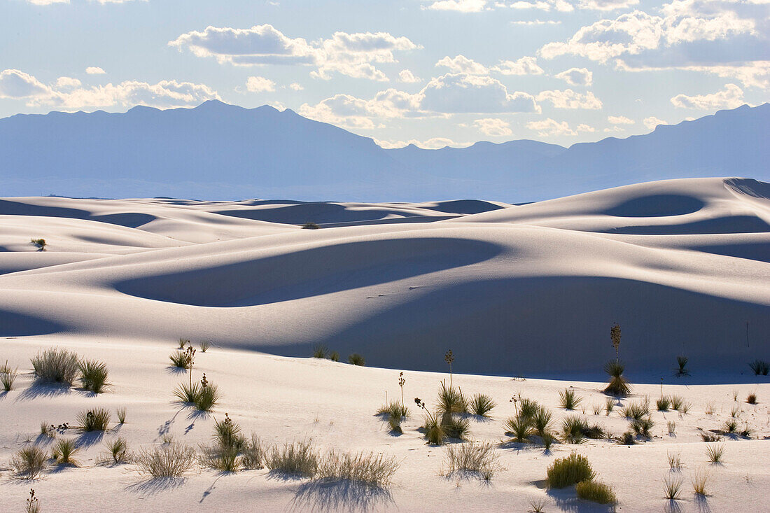 dunes, light and shadow, gypsum dune field, White Sands National Monument, New Mexico, USA