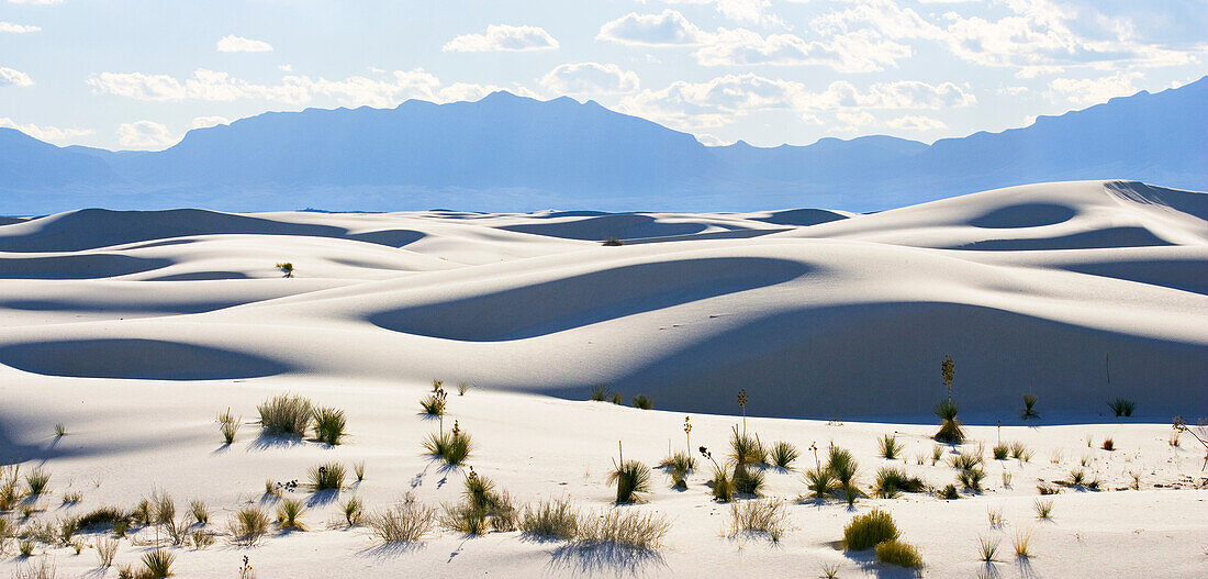 Dünenlandschaft im Sonnenlicht, White Sands National Monument, Chihuahua Wüste, New Mexico, USA, Amerika