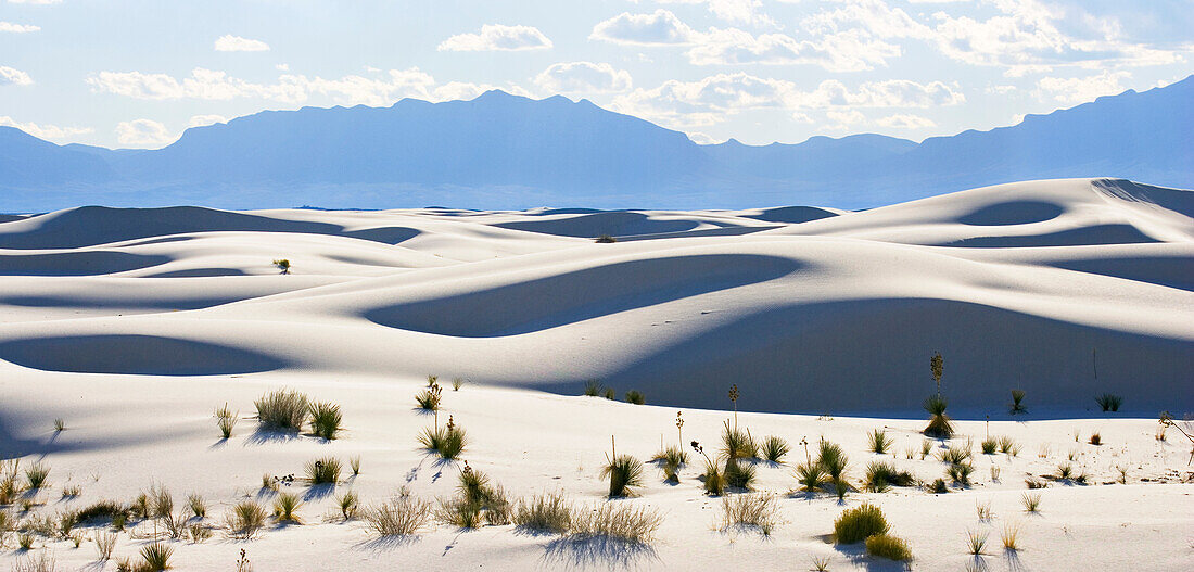 Gypsum dune field in the sunlight, White Sands National Monument, Chihuahua desert, New Mexico, USA, America