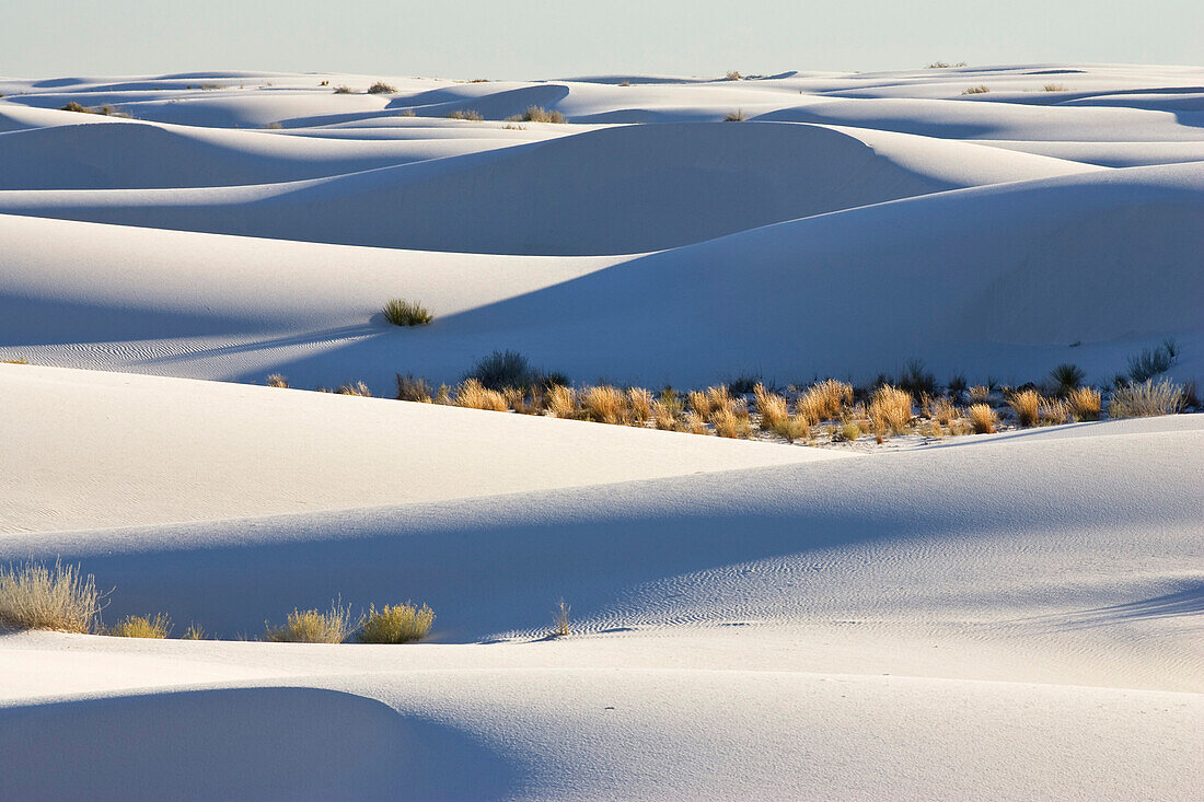 Dunes, light and shadows, gypsum dune field, White Sands National Monument, New Mexico, USA