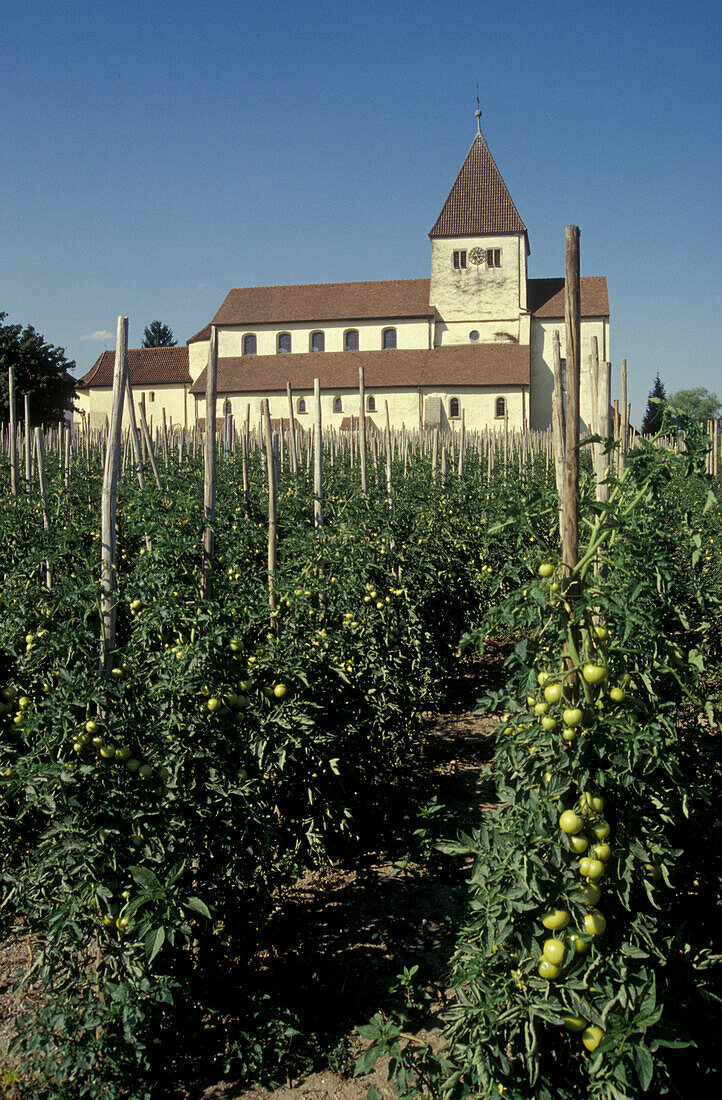 Insel Reichenau, Klosterkirche St.Georg, Bodensee, Baden-Württemberg, Deutschland