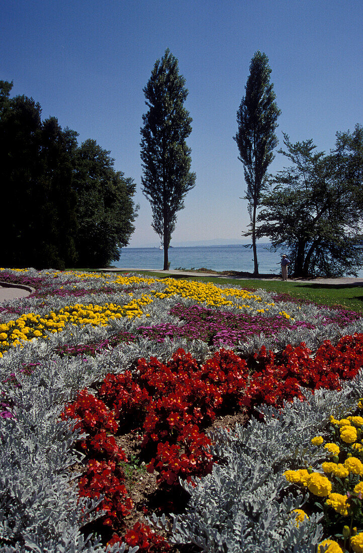 Blumenteppich auf Insel Mainau, Bodensee, Baden-Württemberg, Deutschland
