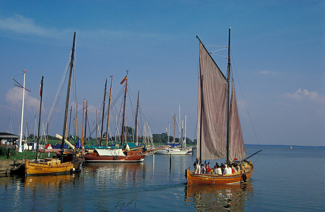 Wustrow Hafen, Fischland, Mecklenburg-Vorpommern, Deutschland, Europa