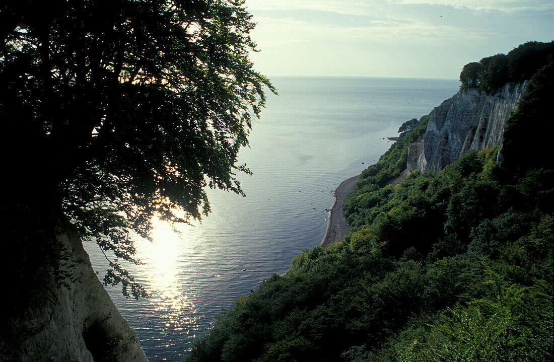 Chalk cliffs, Königstuhl, Jasmund National Park, Rugen Island, Mecklenburg-Pomerania, Germany, Europe