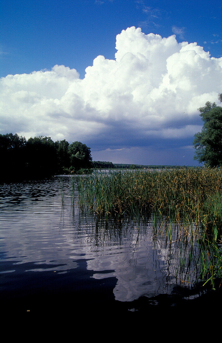 Useriner See, Mueritz national park, Mecklenburg-pomerania, Germany, Europe