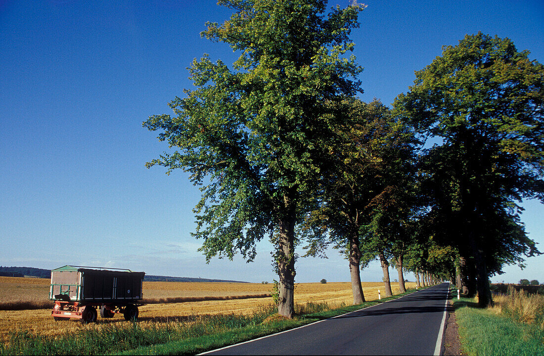 Landscape near Malchin, Mecklenburg-pomerania, Germany, Europe