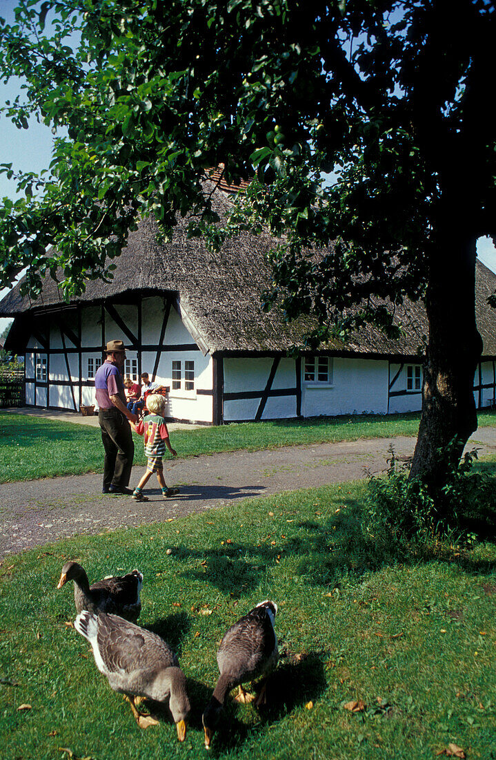 Open air museum, Klockenhagen, Mecklenburg-Pomerania, Germany, Europe